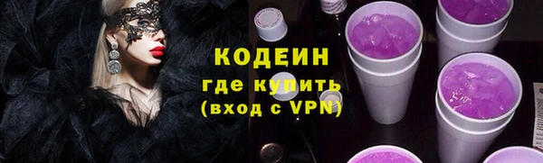гидра Корсаков