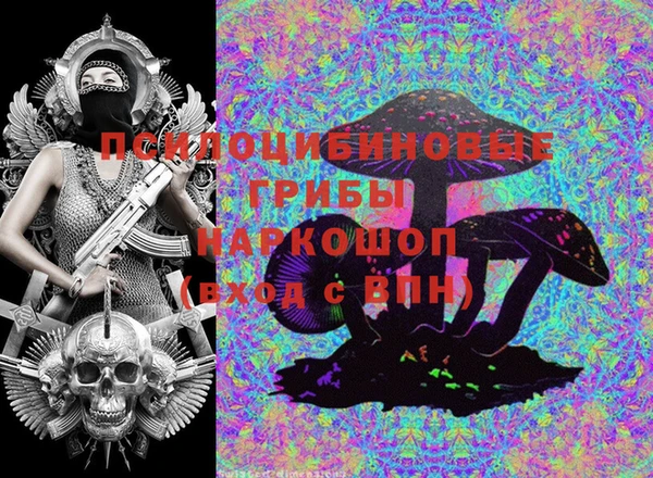 ГАЛЛЮЦИНОГЕННЫЕ ГРИБЫ Кинешма