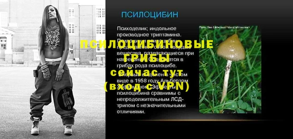 гидра Корсаков